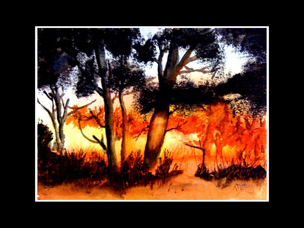 Sunset Through Trees, Zoltan Szabo exercise