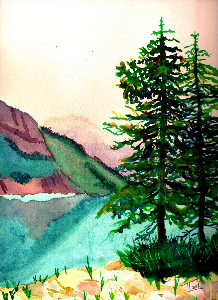 Pine Trees by Lake