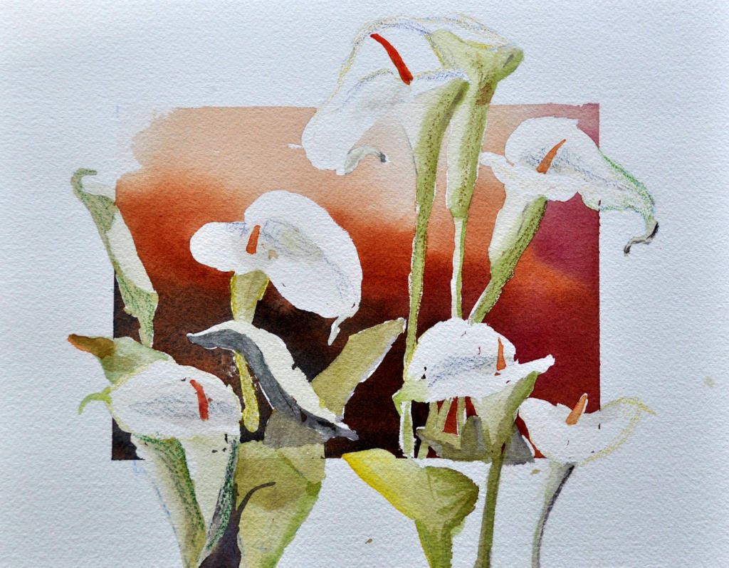 Lilies, in and out of Frame