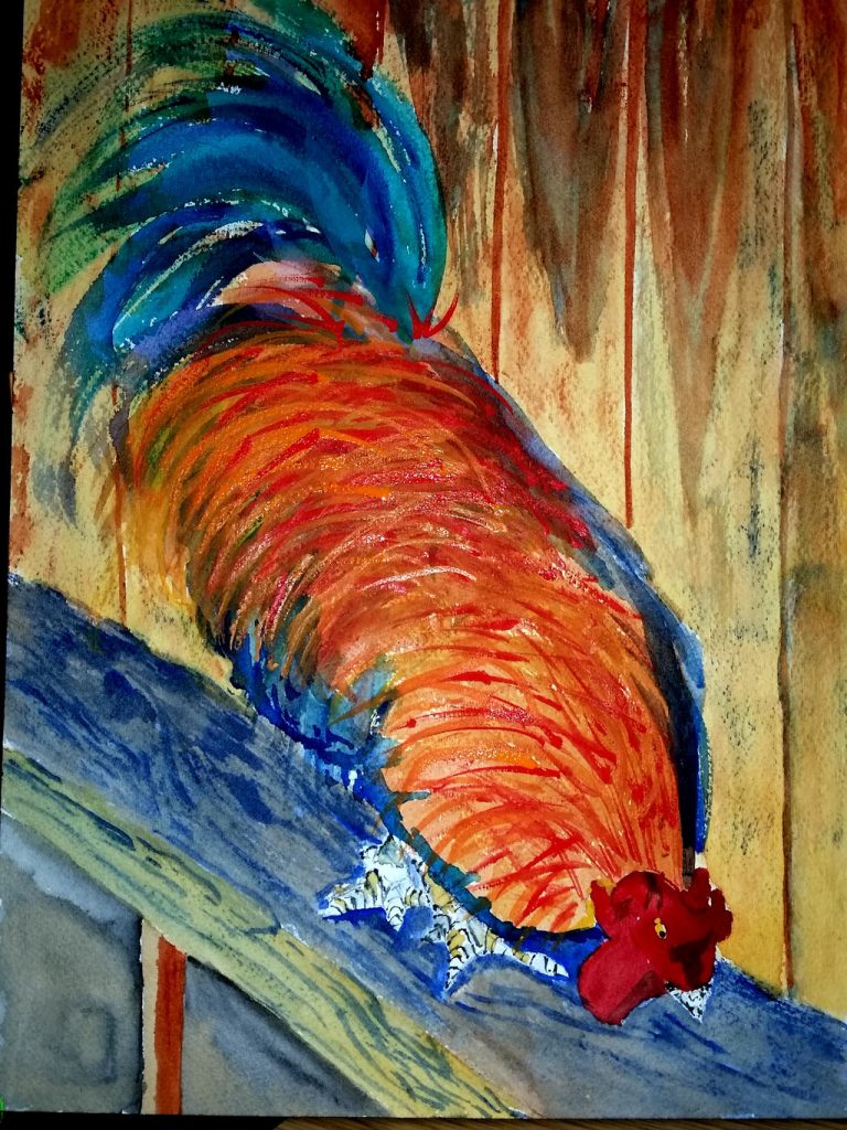 Rooster