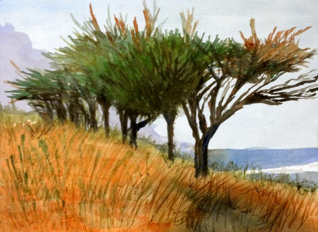 Coastal Trees