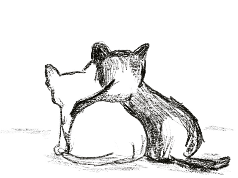 sketch of two cats, black cat with forearm over shoulders of white cat