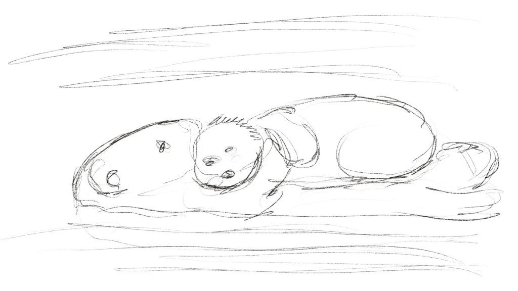 sketch of sea otter mom with pup
